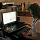 Image for article titled "Taking A Man's Name Opened Up A New World:" Why A Blogger Hid Her Gender